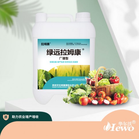 綠遠拉姆康